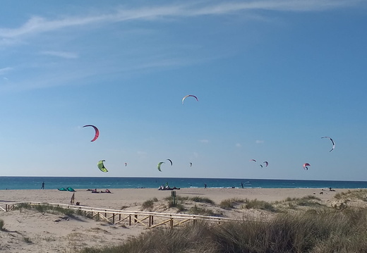 IMG-20190102-WA0003